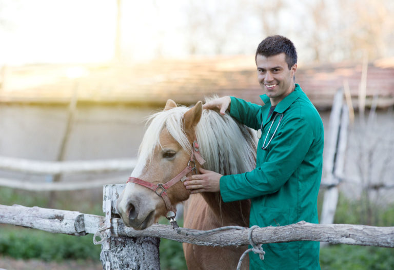 veterinarian smiling with horse