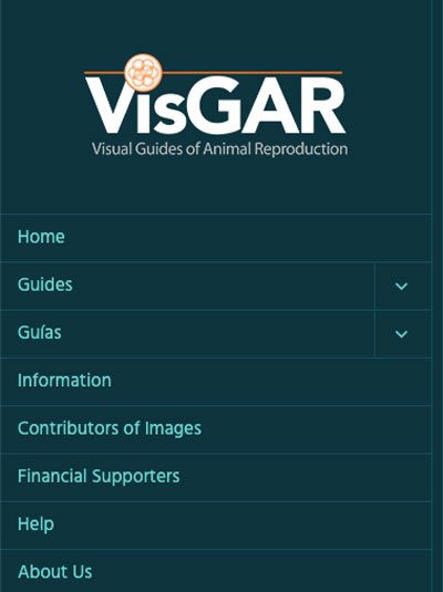 VisGar-vertical-400
