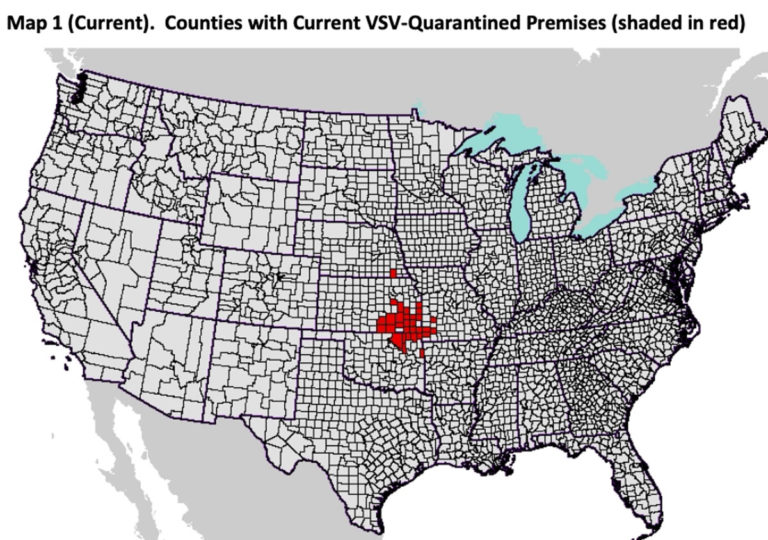VSV counties 7-23-20