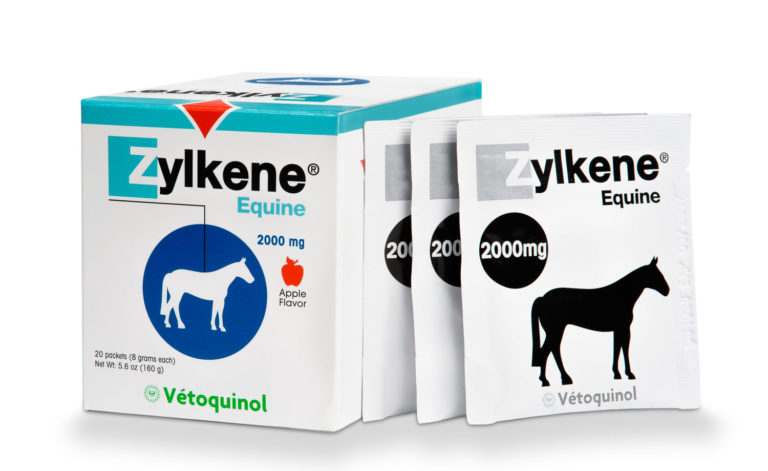 Vétoquinol Launches Zylkene Equine Veterinarian-Exclusive Supplement for Behavior Support promo image