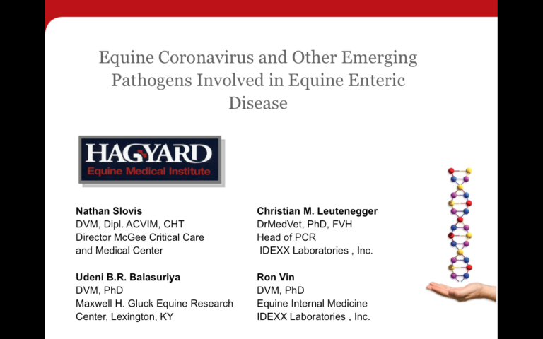 WEBINAR RECORDING: Equine Coronavirus and Other Emerging Pathogens Involved in Equine Enteric Disease promo image