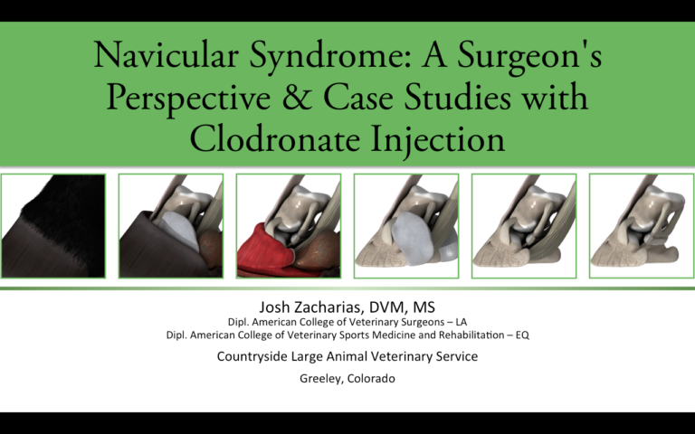 Webinar Recording: Navicular Syndrome: A Surgeon's Perspective & Case Studies with Clodronate Injection AAEP 2015 promo image