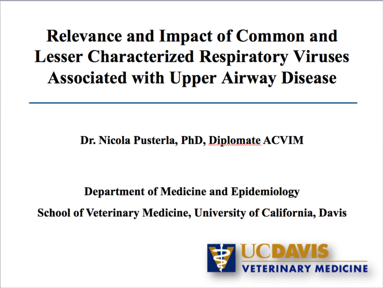 Webinar Recording: Relevance and Impact of Common and Lesser Characterized Respiratory Viruses Associated with Upper Airway Disease promo image