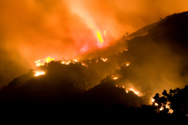 Veterinarian help during california wildfires