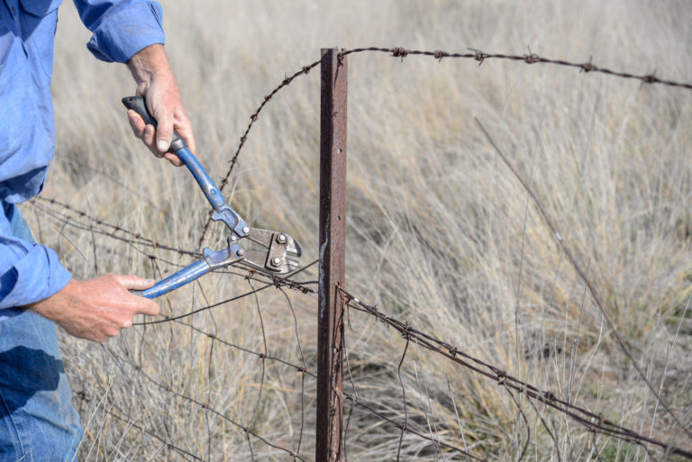 wire fence broken wire cutters