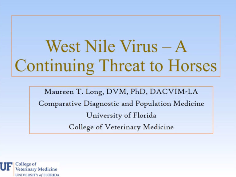 WNV Maureen Long PowerPoint screen capture