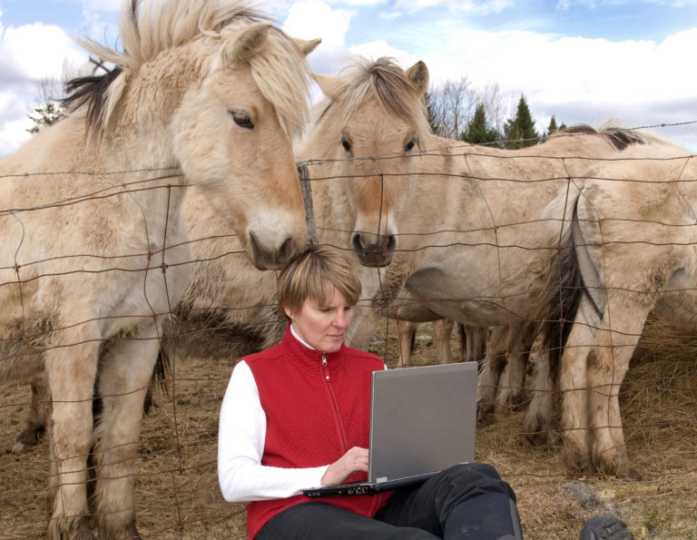 woman computer horses