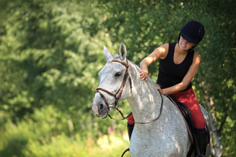 Woman English riding gray horse