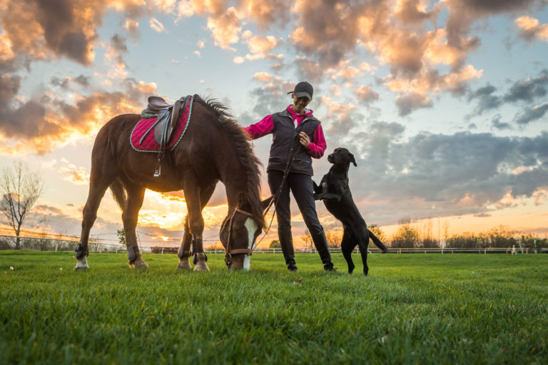 woman horse dog English field
