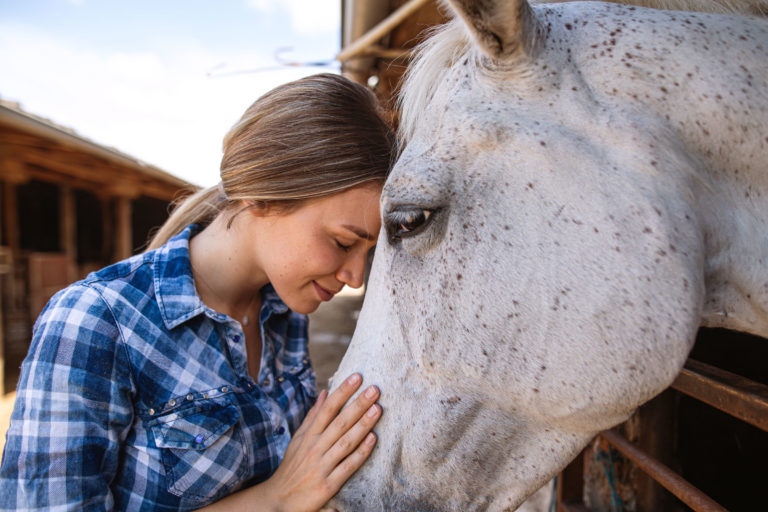 woman love gray horse foreheads touching