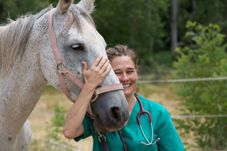 woman vet on farm happy gray horse