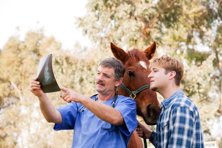 x-ray-vet-owner-horse-iStock-Alina-154954447