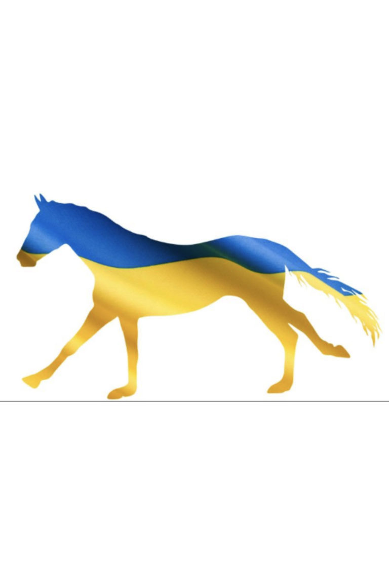 AAEP-Foundation-for-the-Horse-Ukraine-flag-horse-1200-V