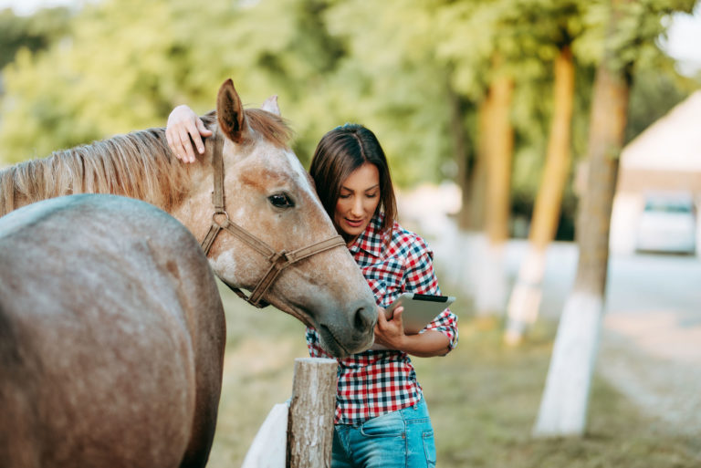 computer tablet horse woman outside