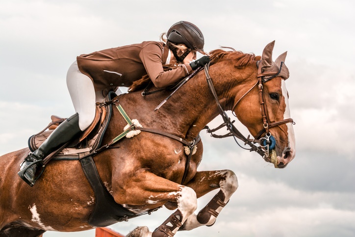 Rider and chestnut horse in jumper-style tack photographed clearing an obstacle