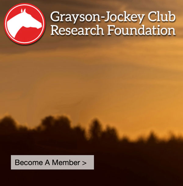 Grayson-Jockey-Club-Research-Foundation-web-600