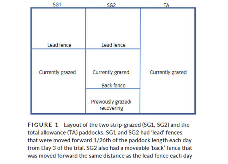 Grazing Layout