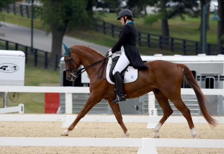International Forum for the Aftercare of Racehorses (IFAR)