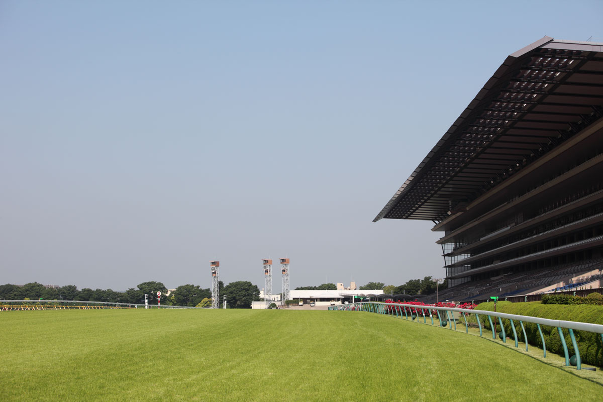 Japan horse racetrack