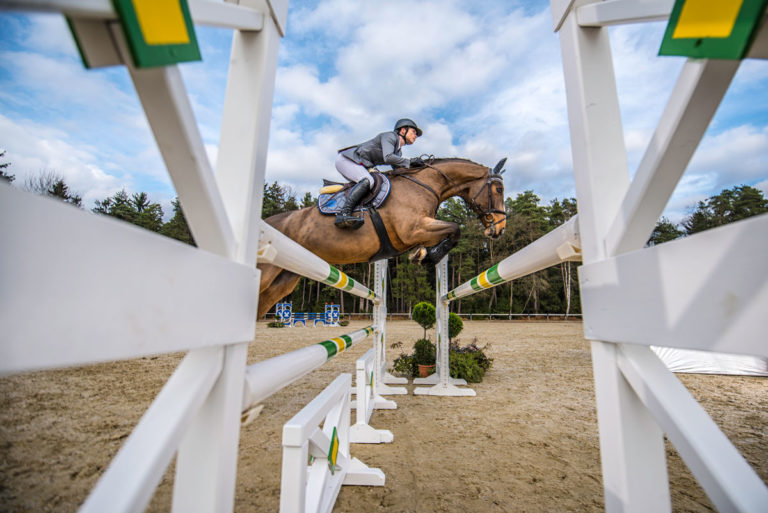 jumping horse stadium between oxer