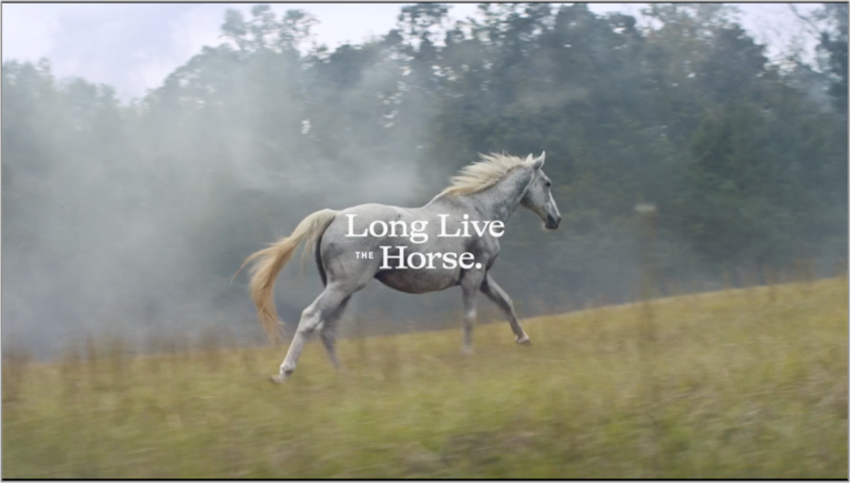 LLTHVideo_Photo