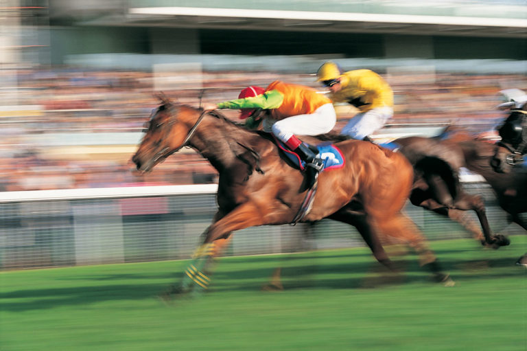 racehorse blurred