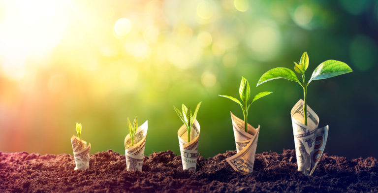 saving money growing money plants