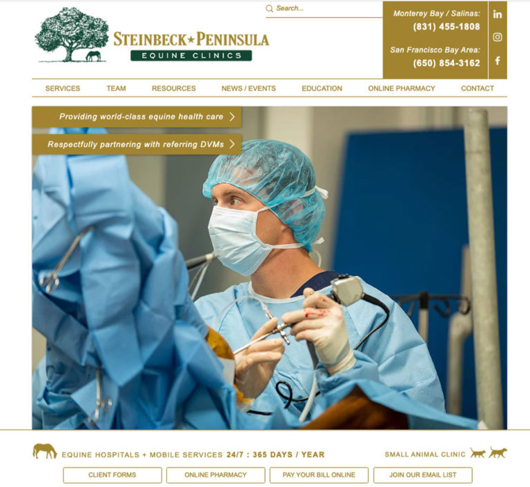 Steinbeck Peninsula equine clinics