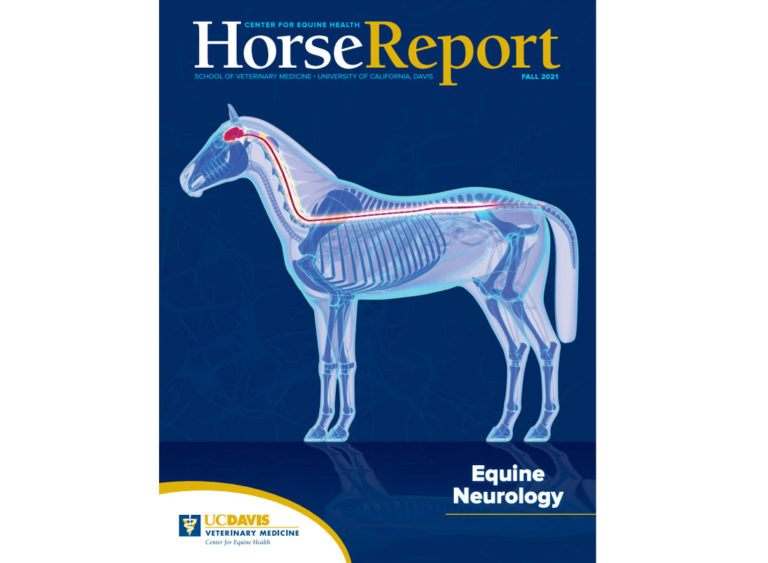 UC Davis Fall Horse Report cover