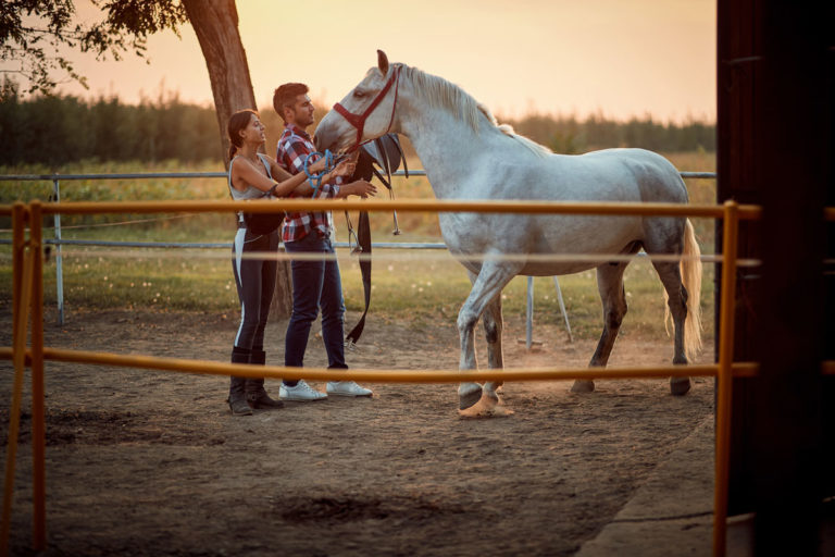 unhappy horse getting tacked up woman man outside