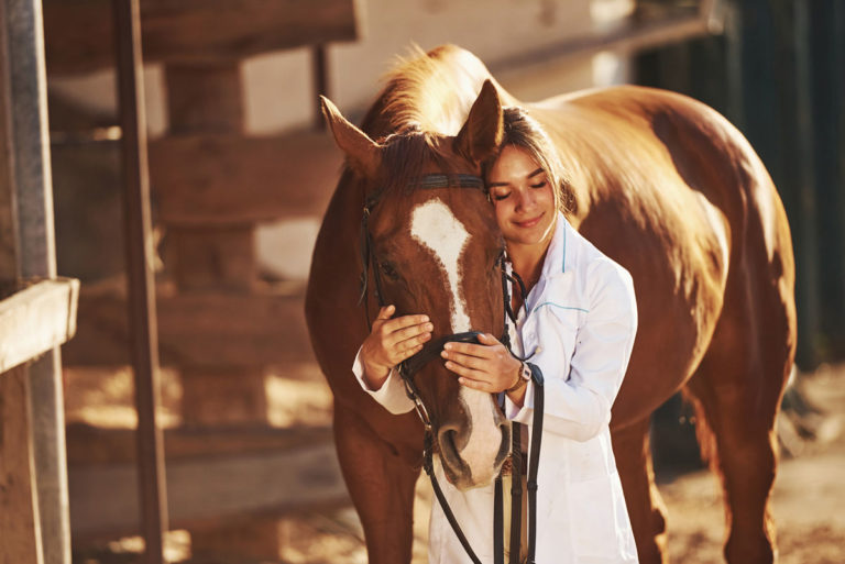 woman veterinarian hugging horse face