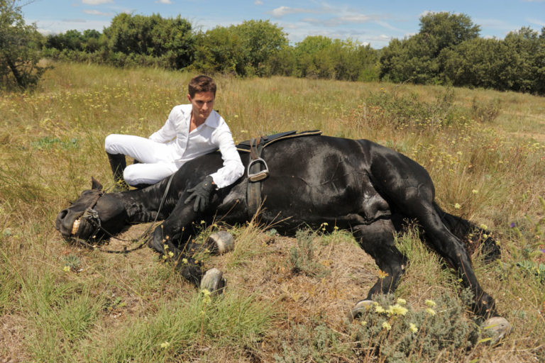 saddled horse on ground man comforting