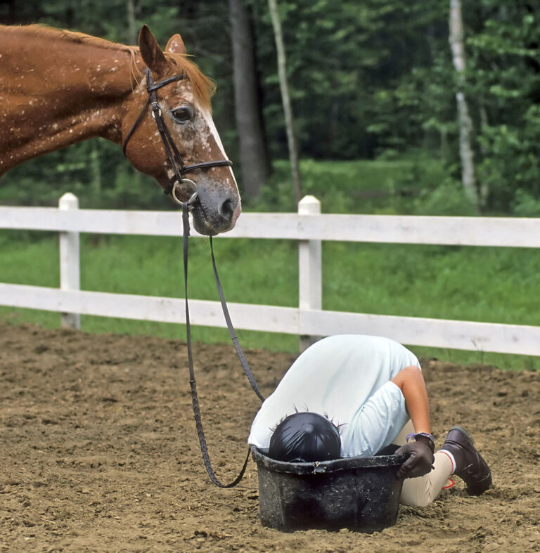 older horse girl bobbing for apples arena