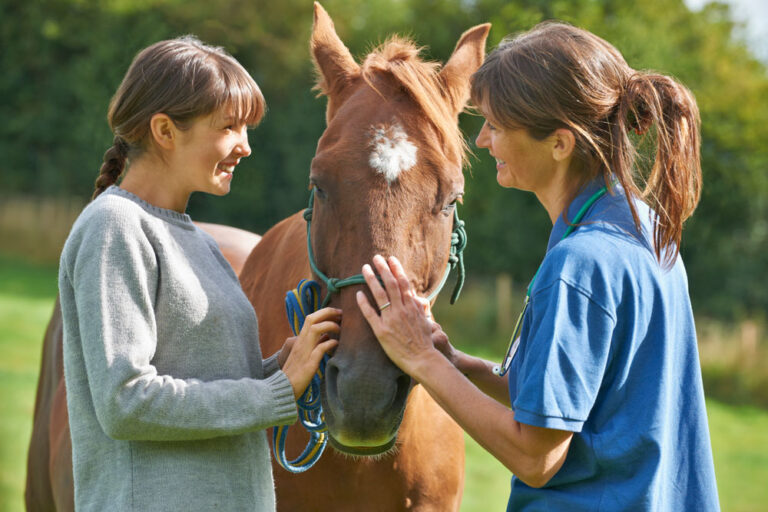 vet client horse happy