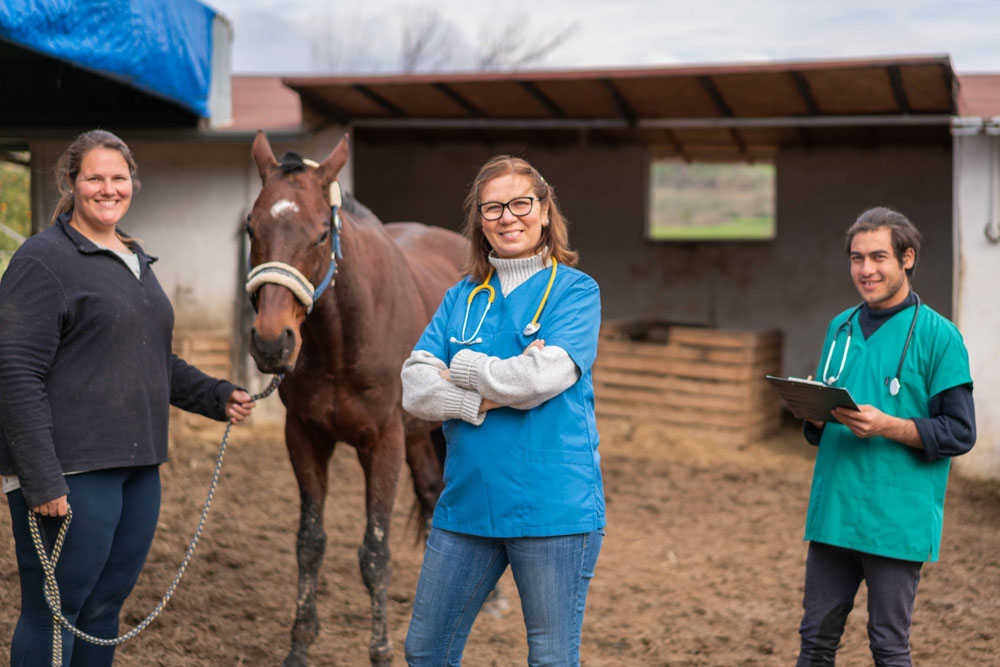 horse veterinarian owner tech