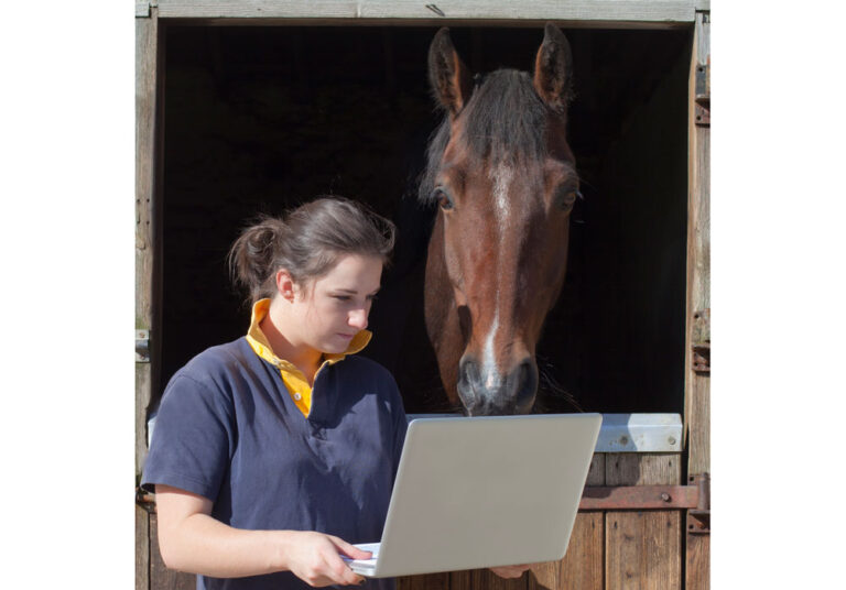 computer-owner-horse-stall-iStock-Sasha-Fox-Walters-183031651-1000