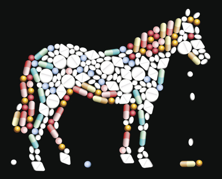 Tablets Pills Horse