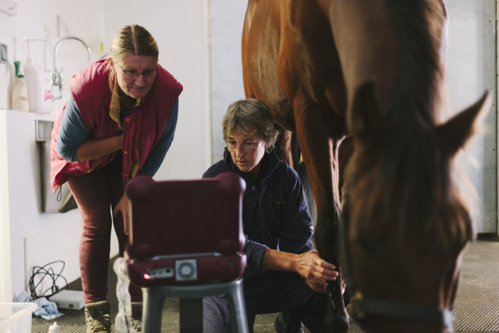 A veterinarian discusses the findings of an ultrasound with her client.