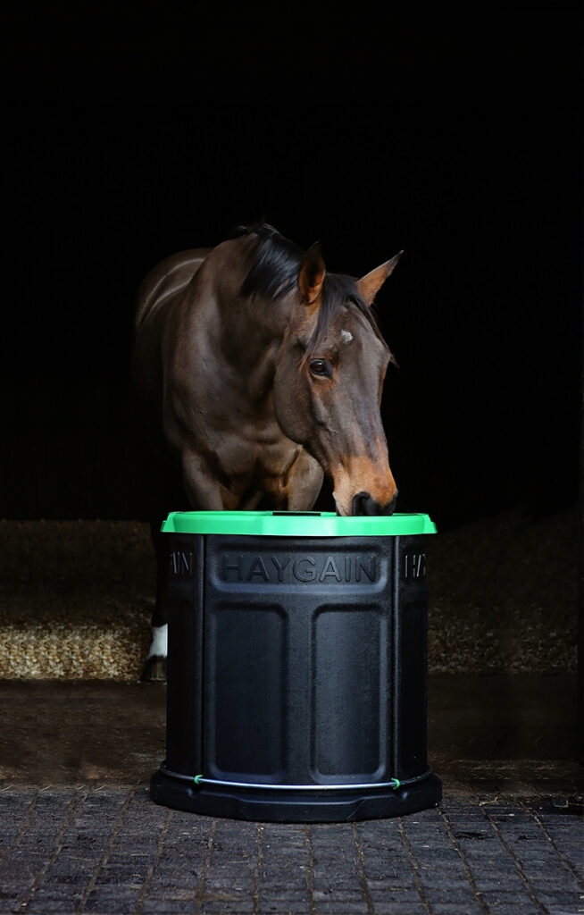 slow feeders for horses