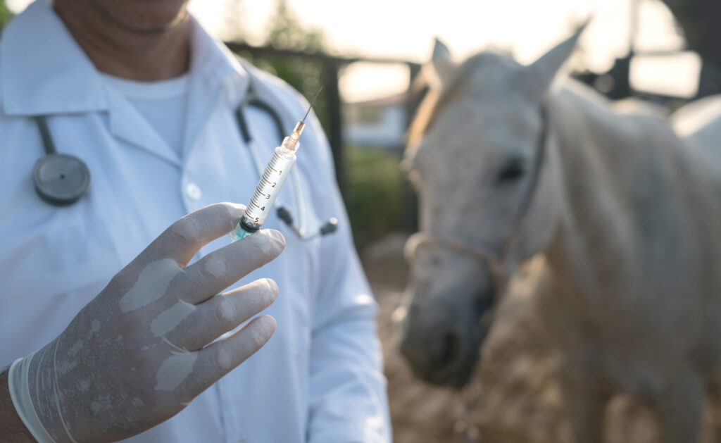 Veterinarian holding vaccine with horse in background