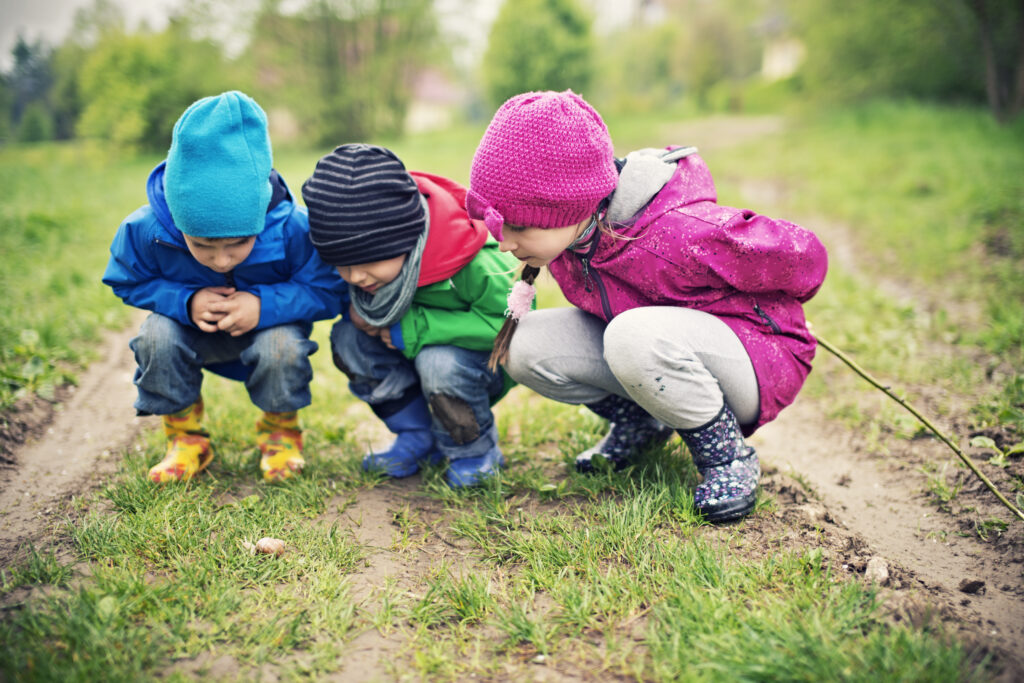 Three kids aged 5 and 8 examining a roman snail in the grass.