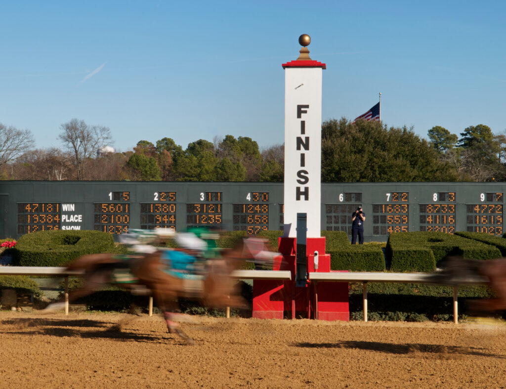Horses crossing the finish line at a racetrack, where EIA and piroplasmosis can spread.