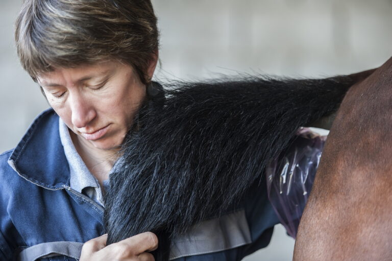 A veterinarian performs a rectal examination on a horse. Equine fecal water syndrome is one condition that can affect the horse's gastrointestinal system.