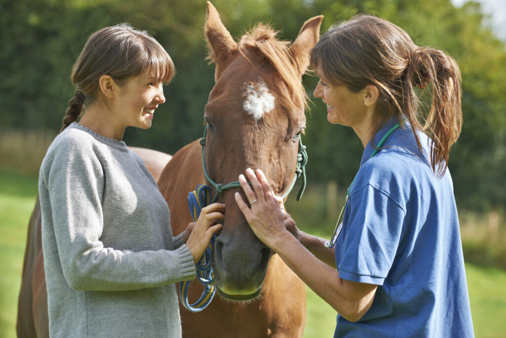 A veterinarian talks with a horse owner while they stand next to a chestnut horse.