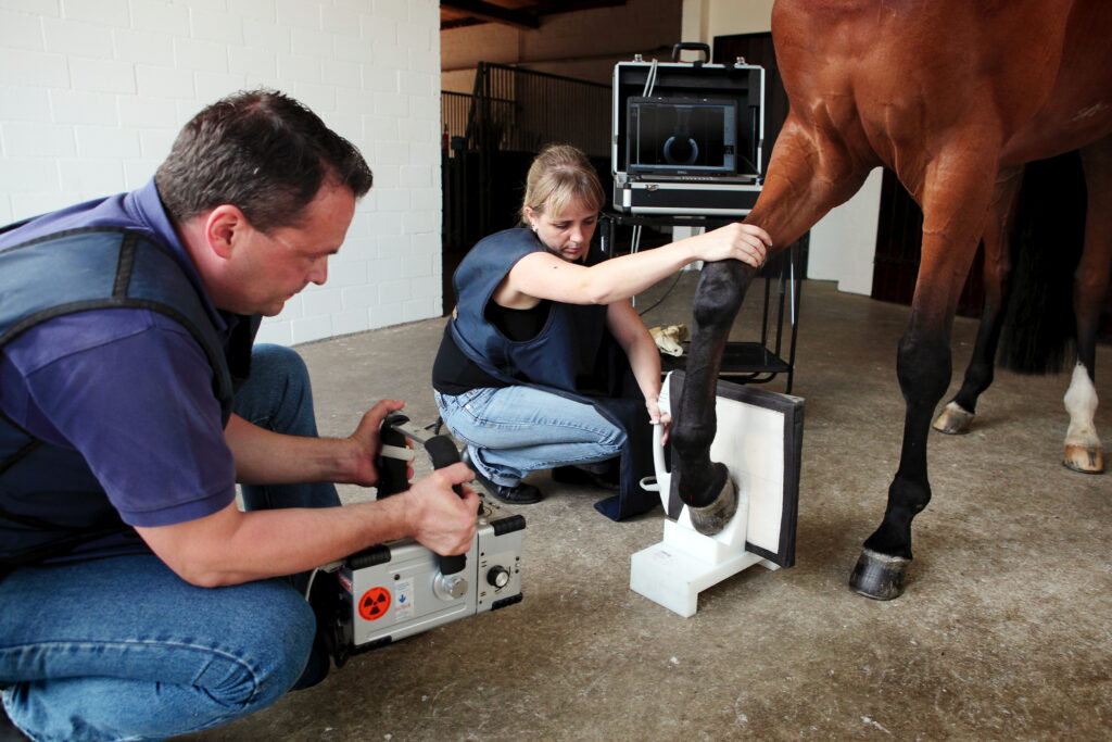 Improving Your Veterinary Practice's Efficiency EquiManagement