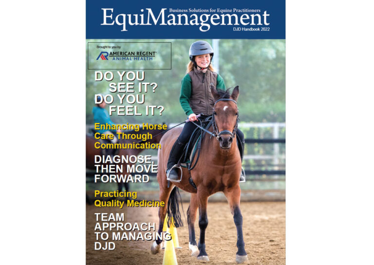 EquiManagement DJD Handbook 2022