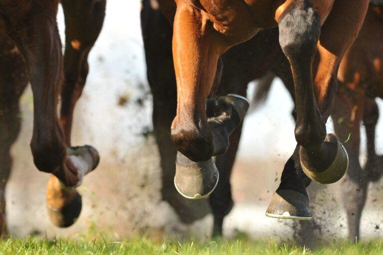 Horse racing action