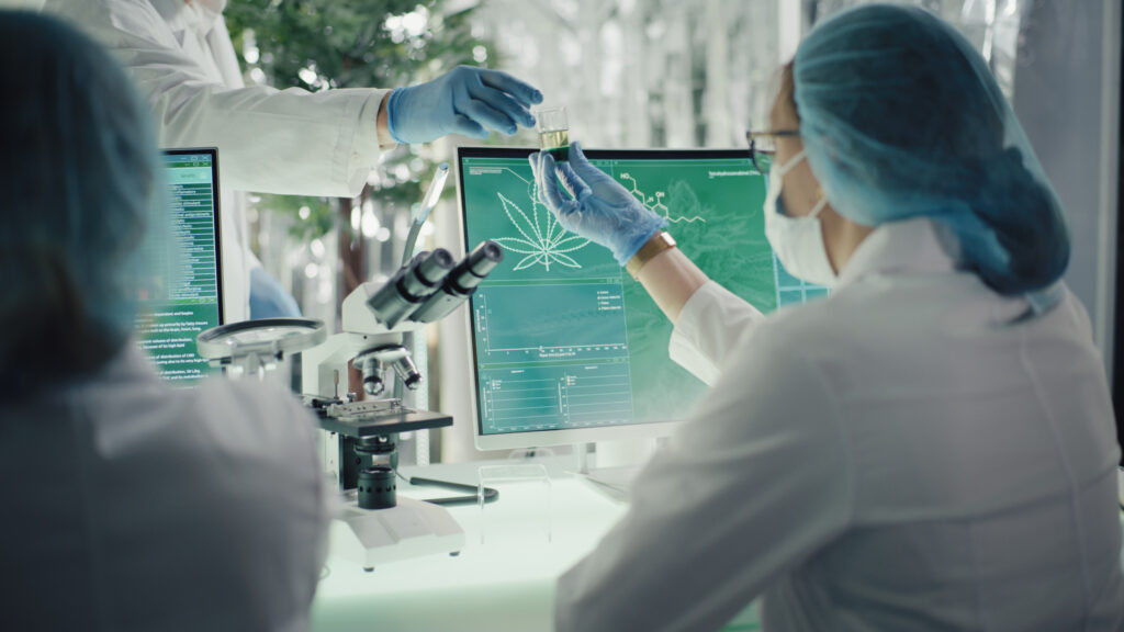 Scientists in a lab studying cannabinoid receptors.