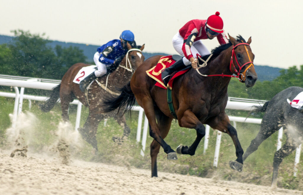Racehorses galloping on the track. Tongue ties in racehorses do not open the upper airway as commonly believed.