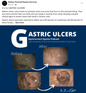 A Facebook post from McKee-Pownall about gastric ulcers.